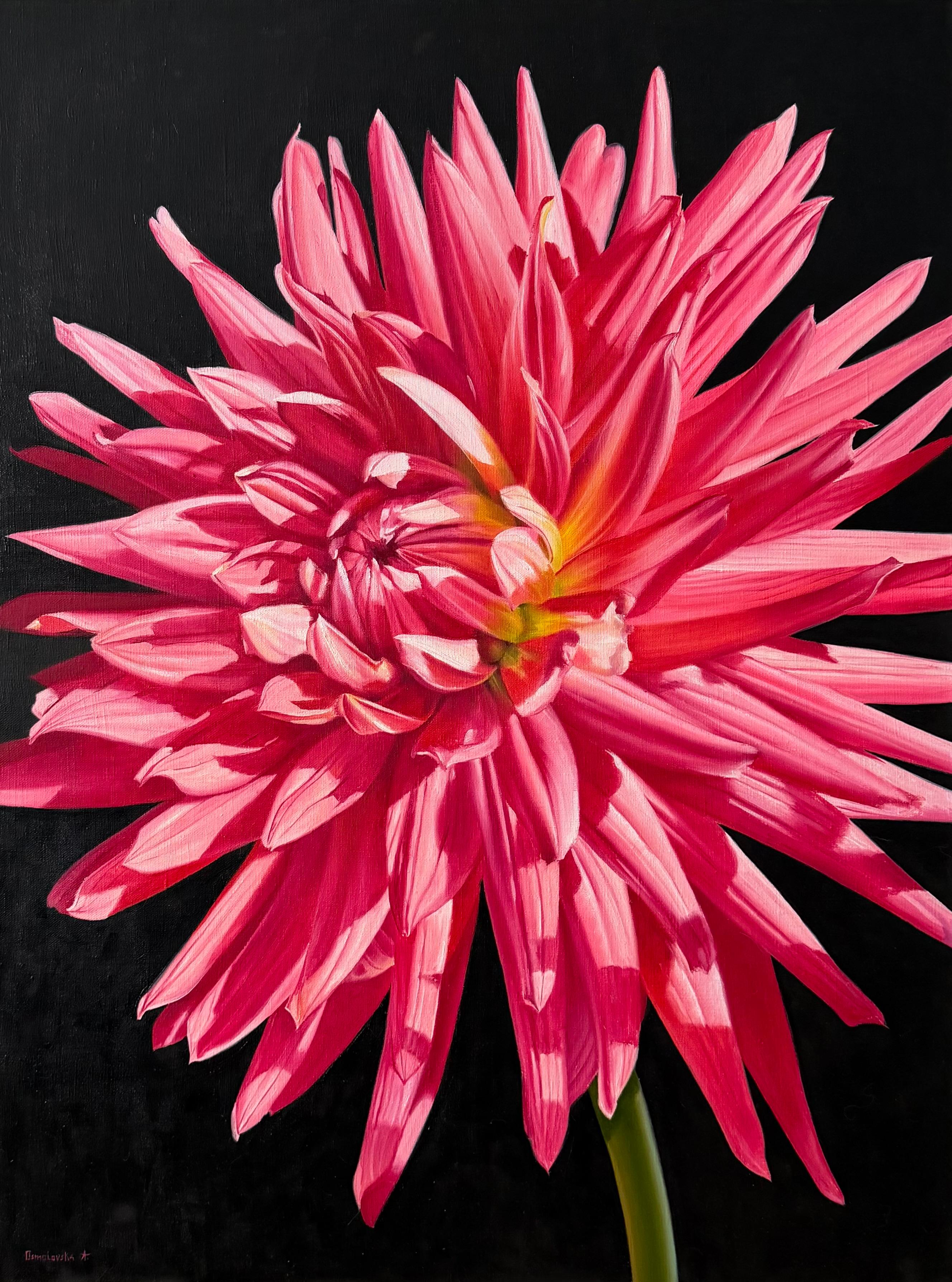 Dahlia