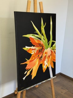 Fritillaria