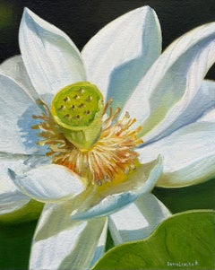 Lotus, Realist Still Life Painting, Oil on Canvas, 2026