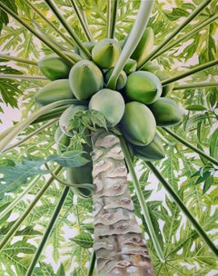 Papaya, natura morta iperrealista, olio su tela, 2023