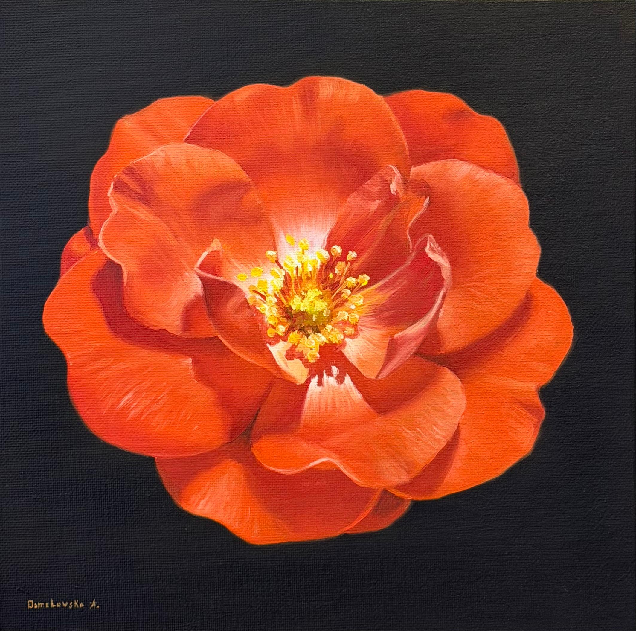 Fleur rouge