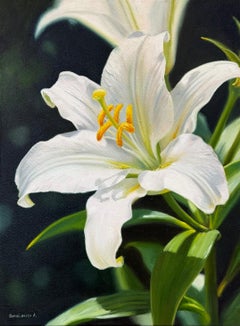 White Lily