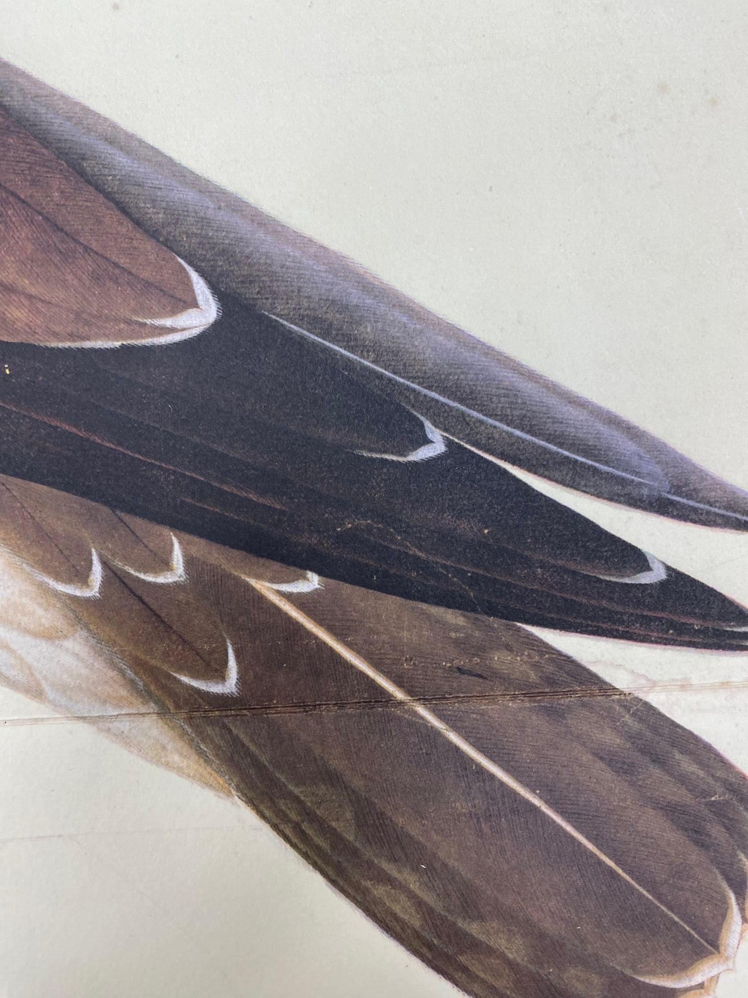 Late 20th Century Osprey Reprint from 