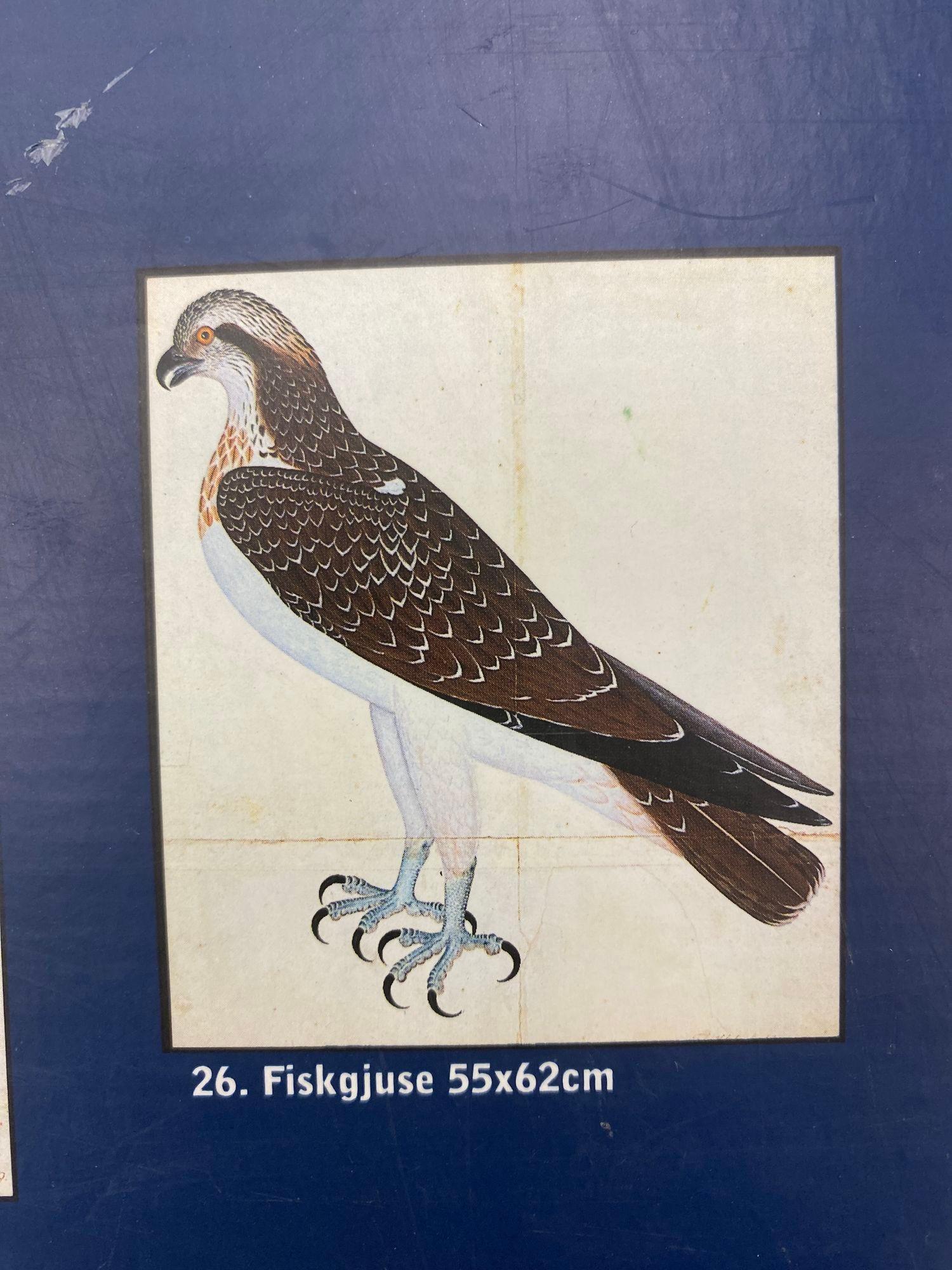 Osprey Reprint from 