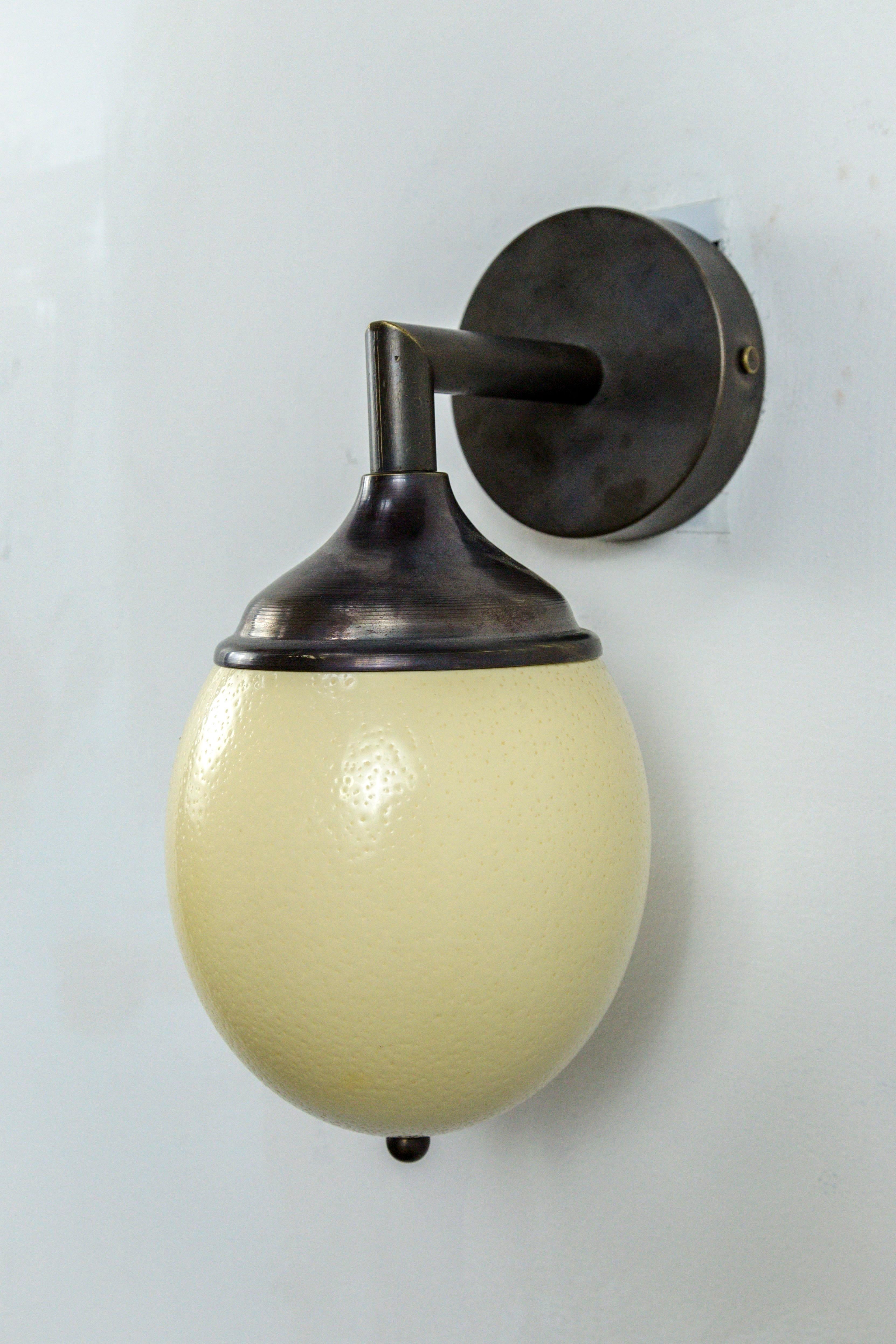 American Ostrich Egg Cast Brass Arm Sconce