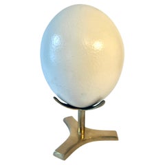 Ostrich Egg Displayed on Solid Brass Four Footed Stand