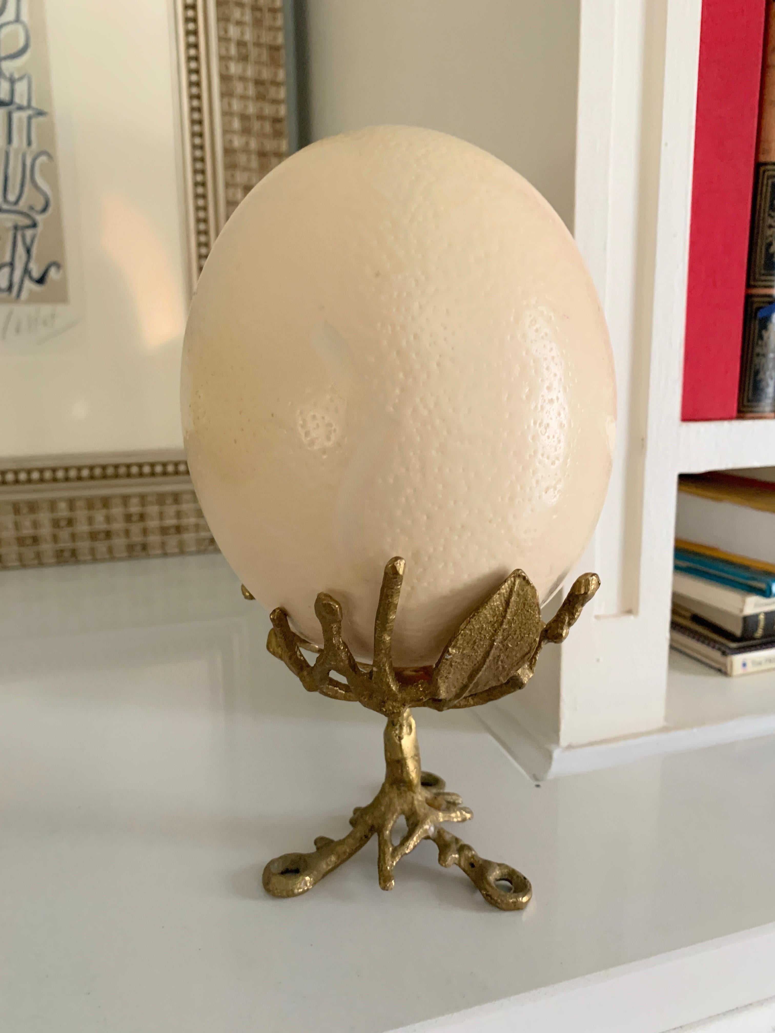 ostrich egg for sale los angeles