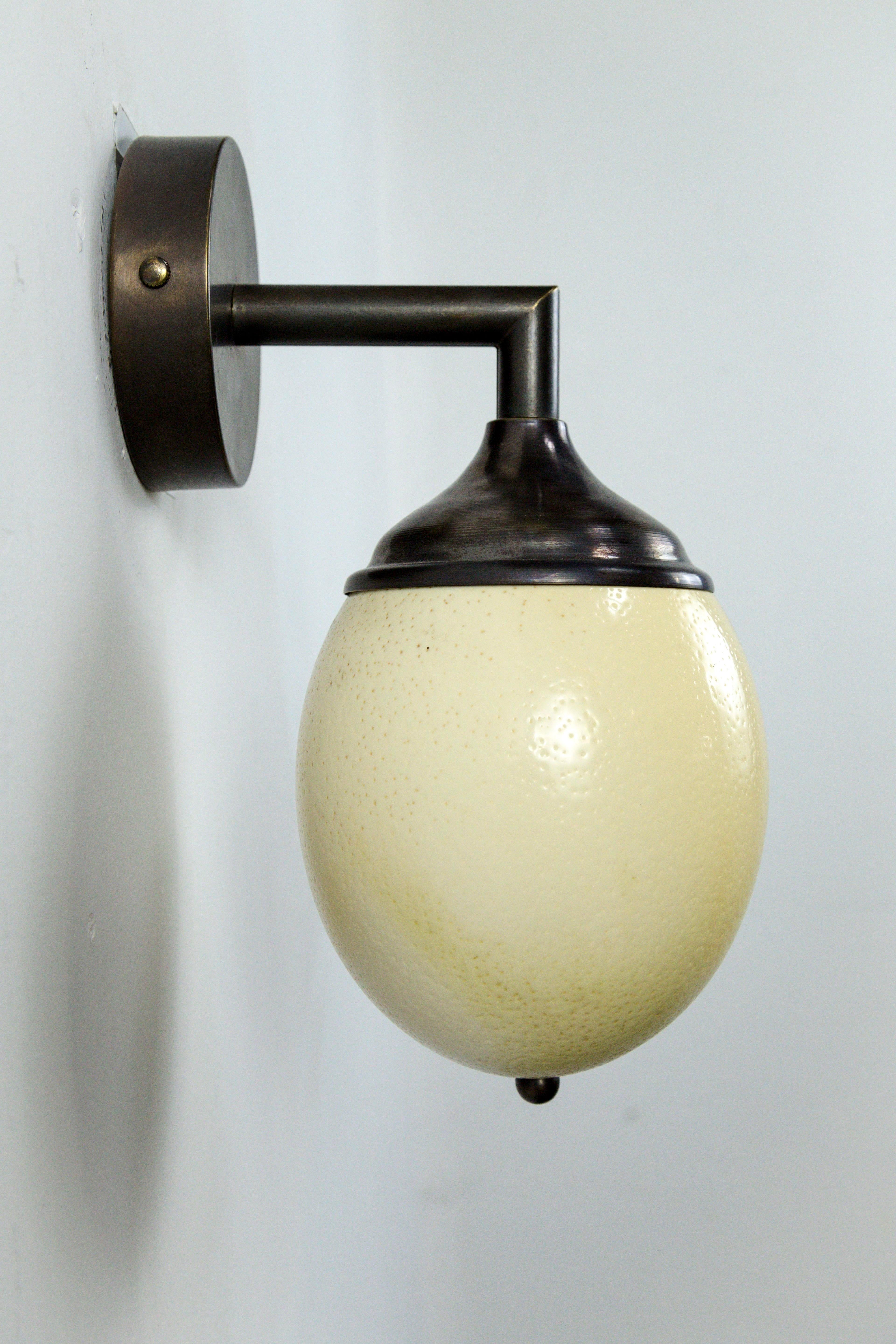 Ostrich Egg Shell & Cast Brass Arm Sconce For Sale 1