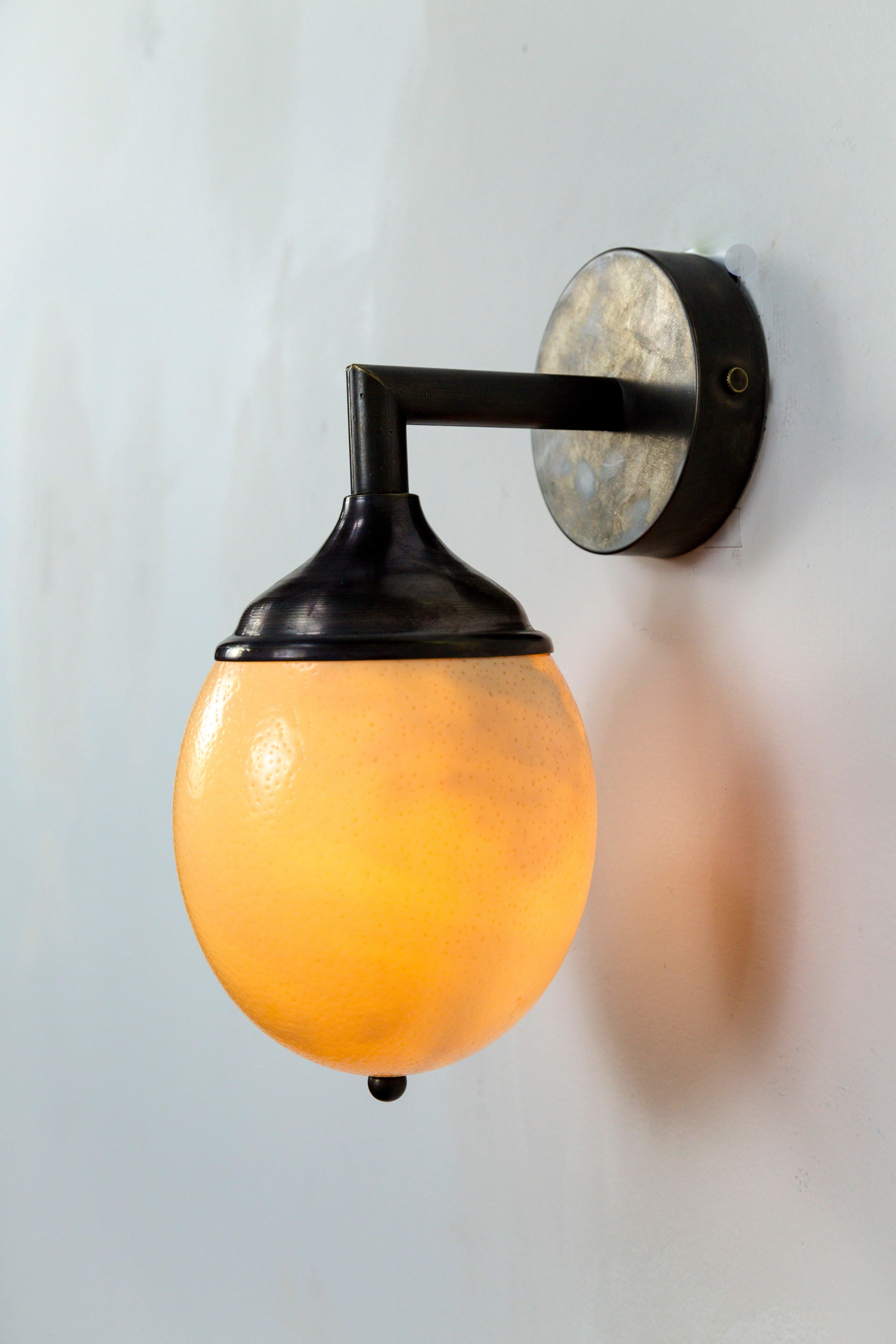 We used this pristine Ostrich egg with a beautiful texture to compose this wall lamp with a cast brass arm, backplate, and shade cover in an oil rubbed bronze finish. This fixture a has a rich, bone color that varies to a warm, flame-like glow when