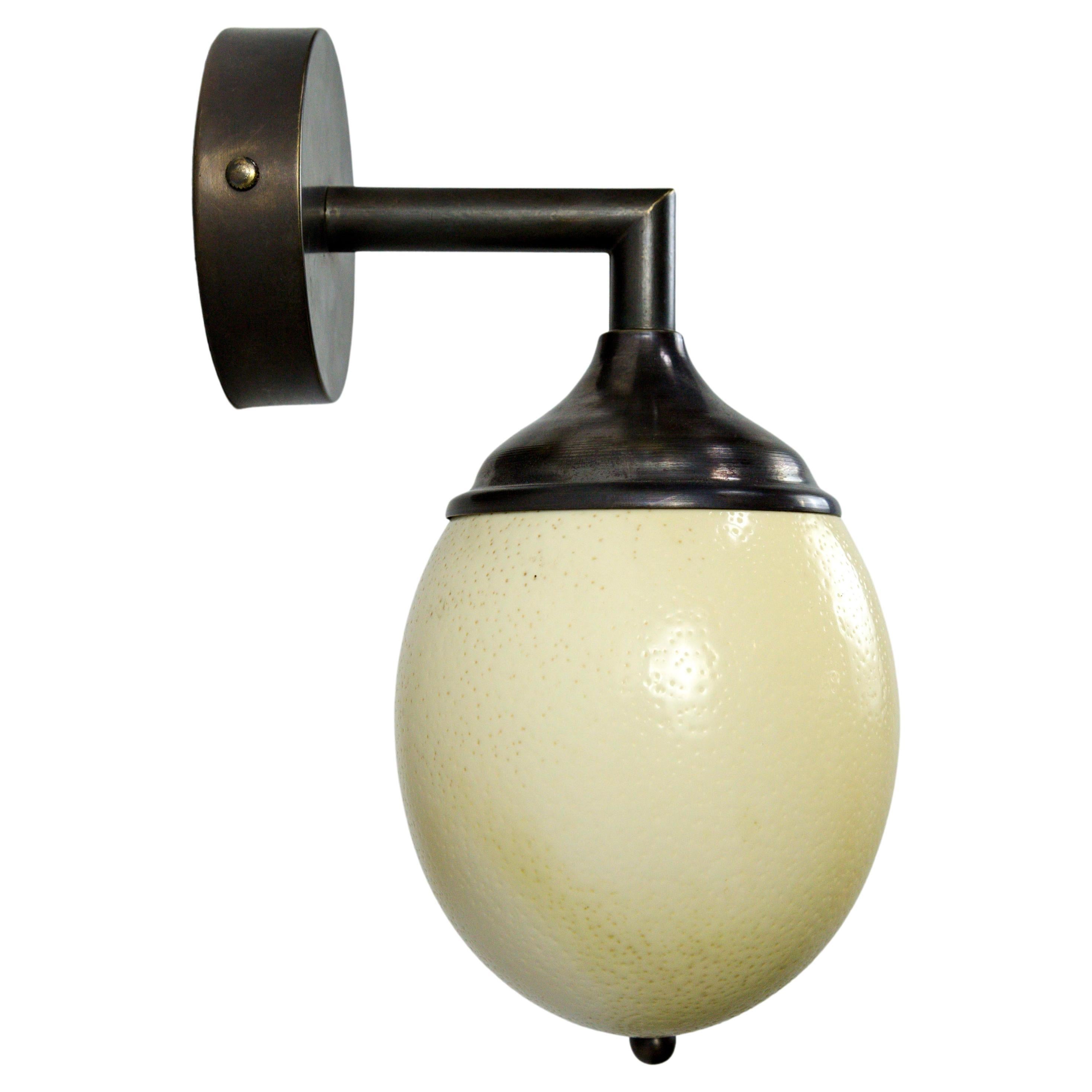 Ostrich Egg Shell & Cast Brass Arm Sconce For Sale