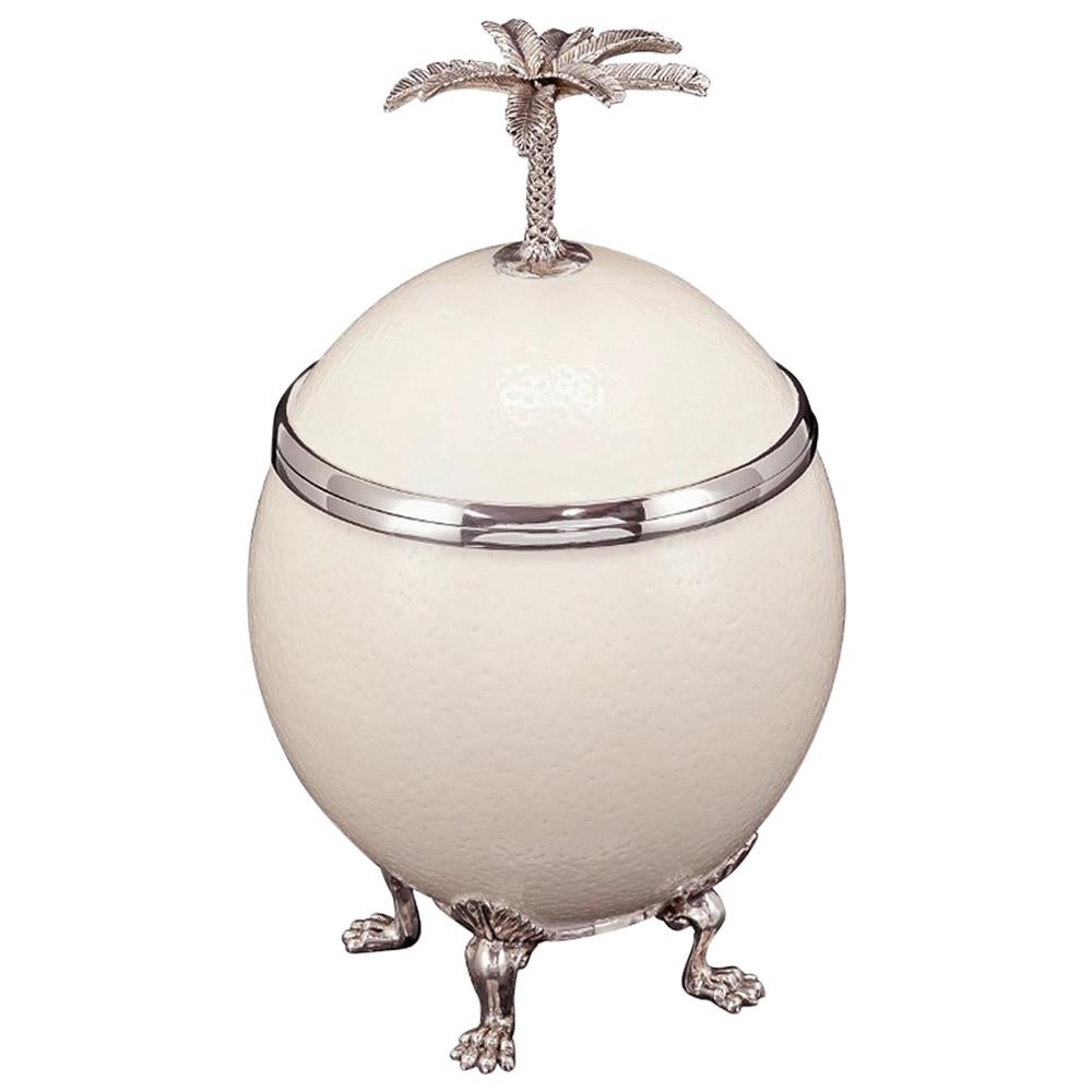 Ostrich Egg with Palm Tree Box