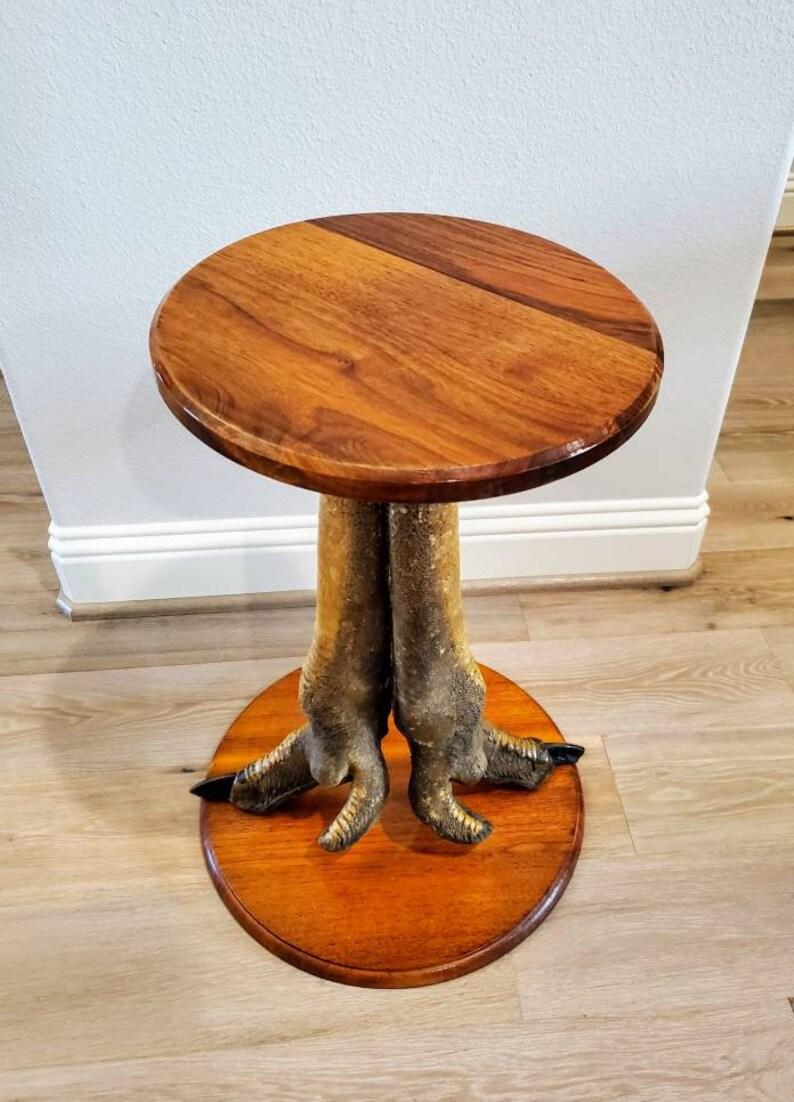 taxidermy table