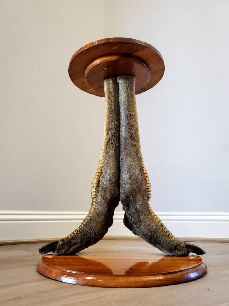Animal Skin Ostrich Pedestal Side Table, Taxidermy For Sale