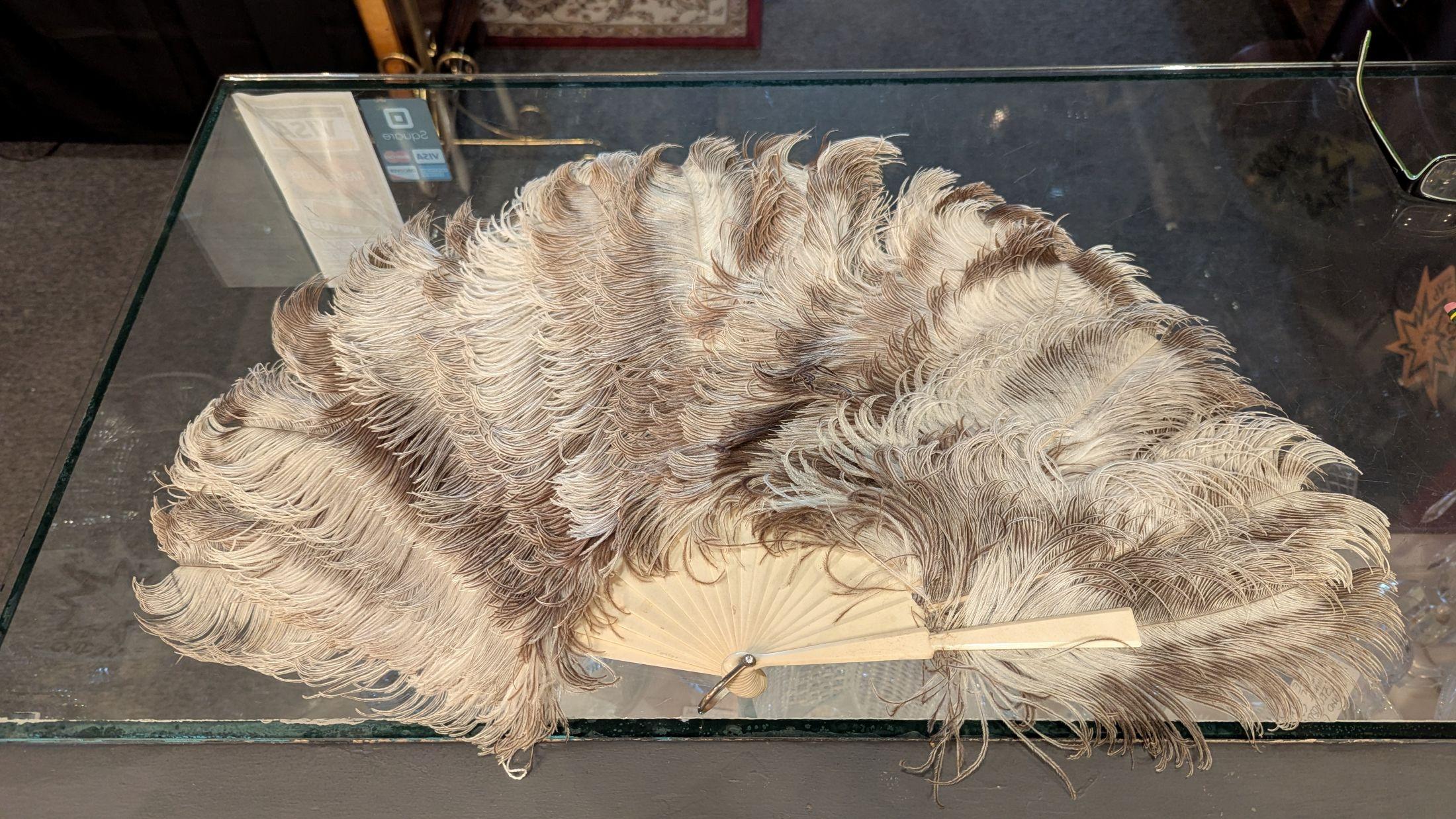 Large and beautiful Victorian ostrich plume hand fan in perfect condition.  This fan is perfect for use, or in costume, or display piece, put into a shadowbox frame. the fan base supports seem to be man-made material