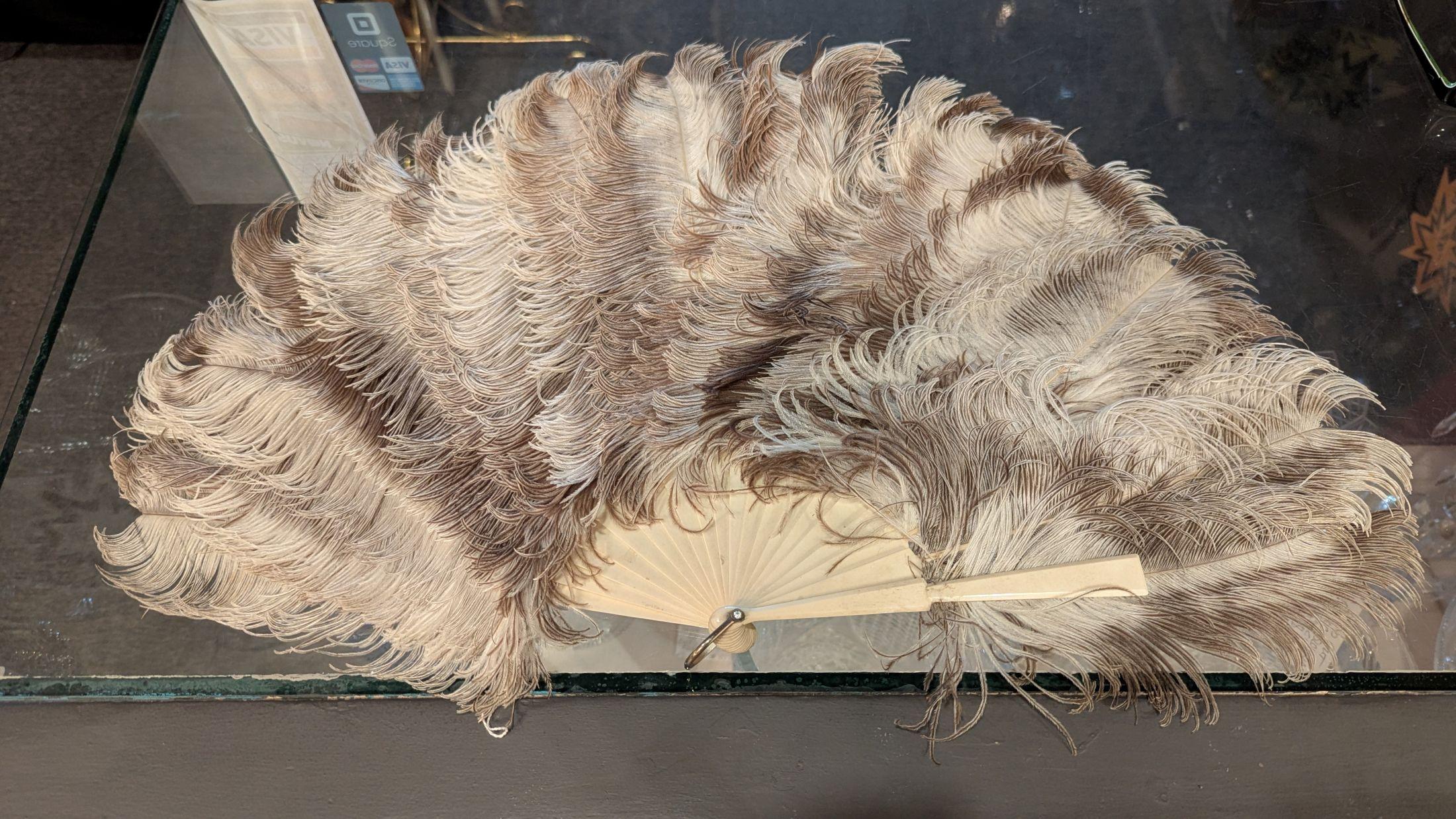 High Victorian Ostrich Plume Hand Fan For Sale