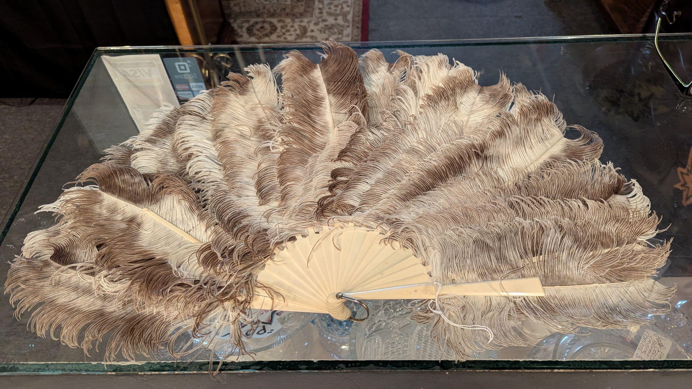 American Ostrich Plume Hand Fan For Sale