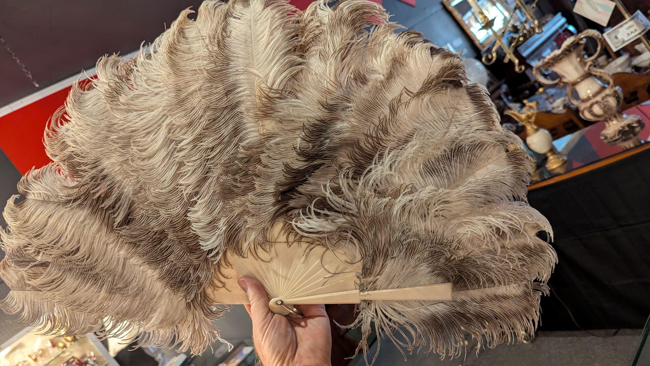 Ostrich Plume Hand Fan In Good Condition For Sale In Pueblo, CO