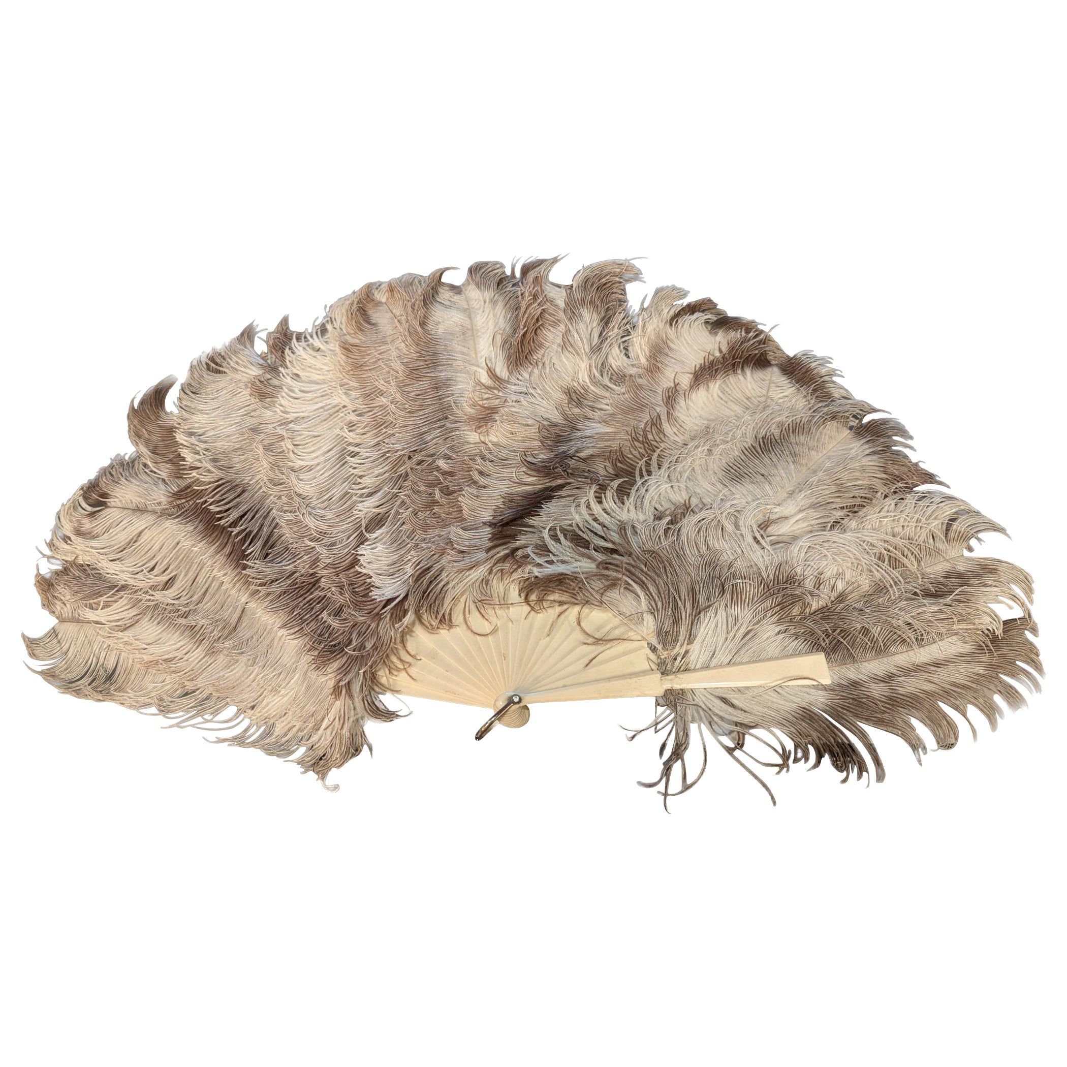 Ostrich Plume Hand Fan
