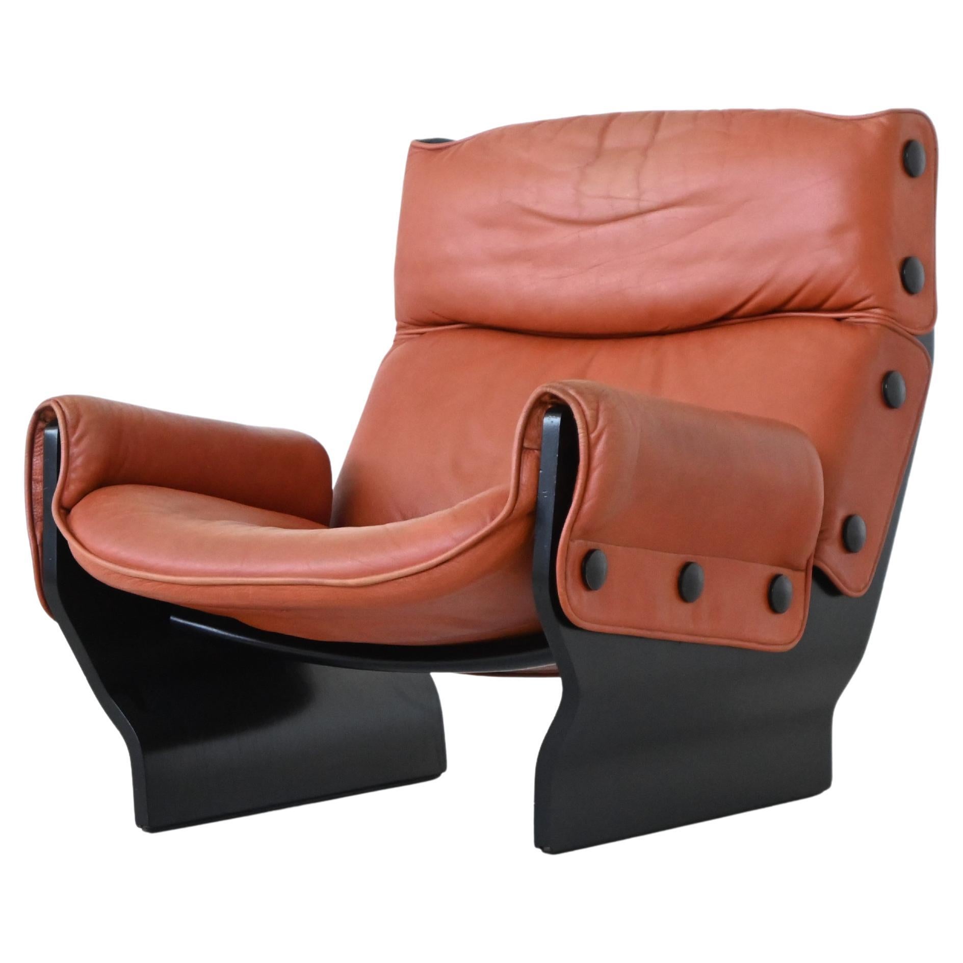 Osvaldi Borsano P110 'Canada' lounge chair Tecno Italy 1965