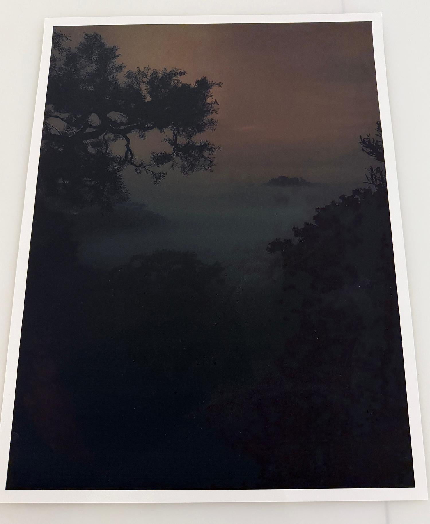 Otaru est un tirage d'art en édition limitée qui capture le calme éthéré des paysages chargés de brume, où la nature se dissout dans l'ombre et l'atmosphère. Créée grâce à une fusion méticuleuse de photographies d'art et de détails de surface