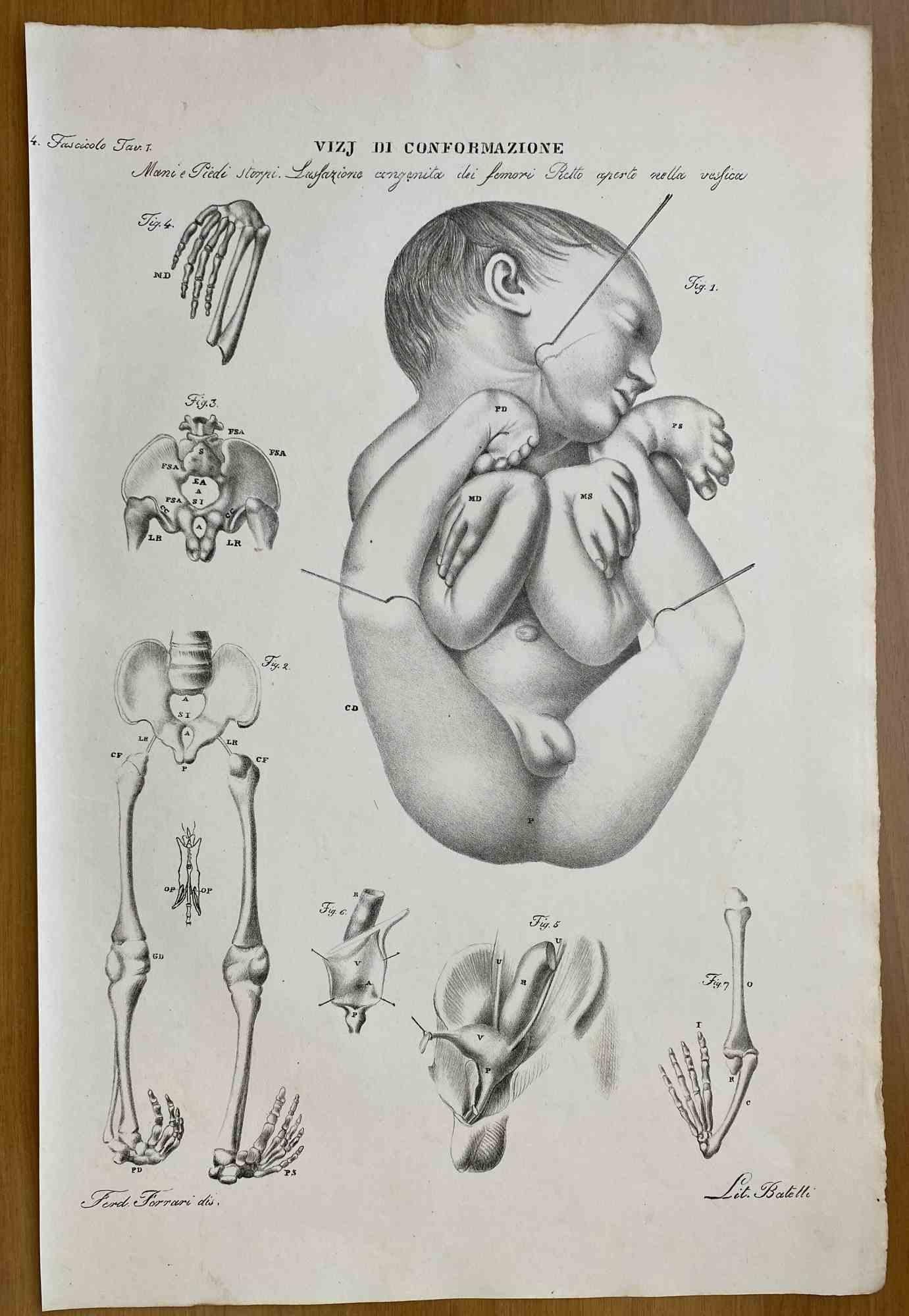 conformazione mano
