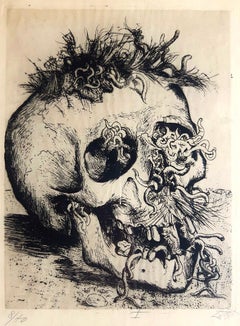 Schädel – Radierung und Kaltnadelradierung von Otto Dix aus dem Portfolio Der Krieg – 1924