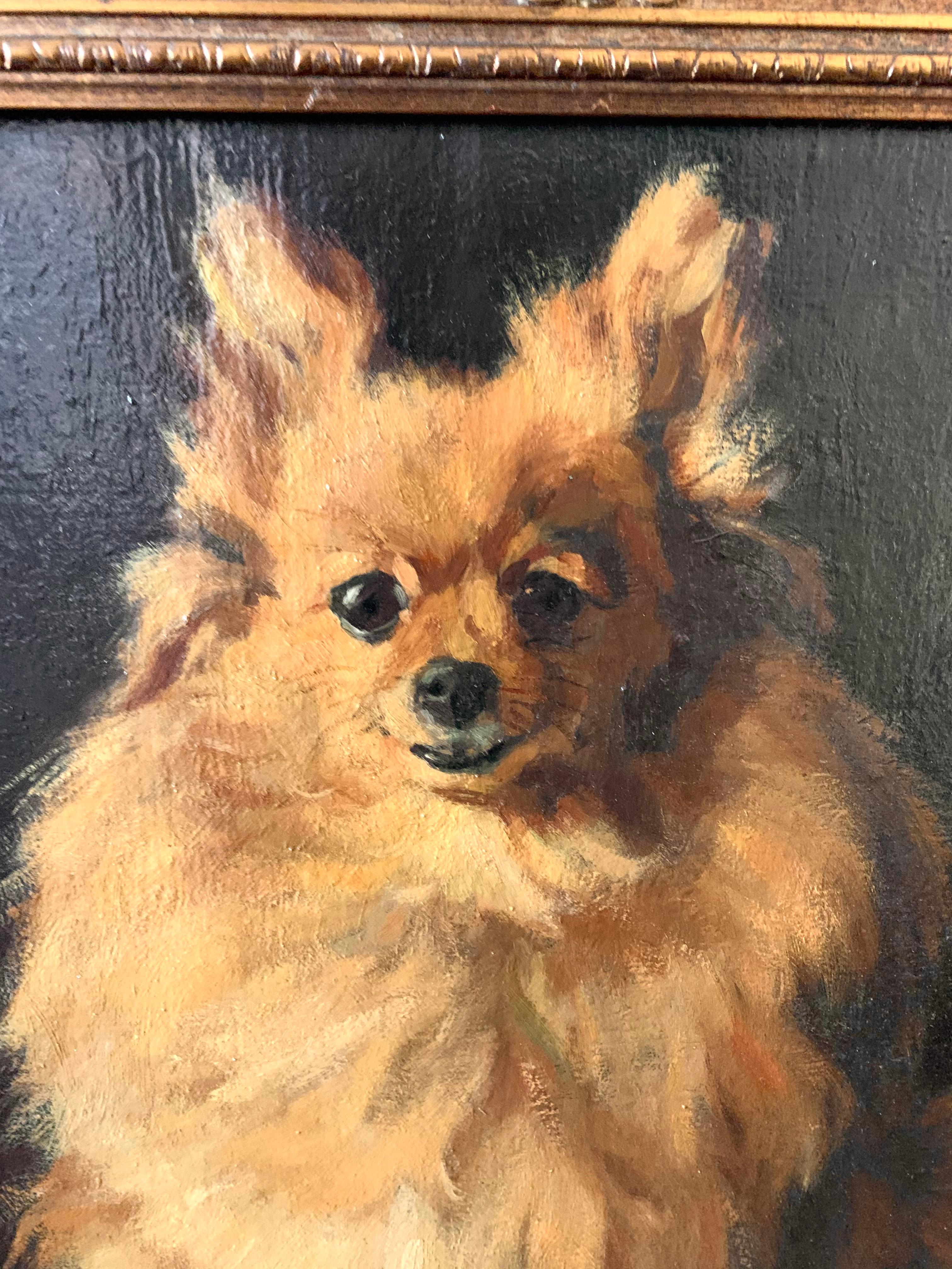 19th century European Portrait of a Pomeranian or Chihuahua- Life size Dog Genre 2
