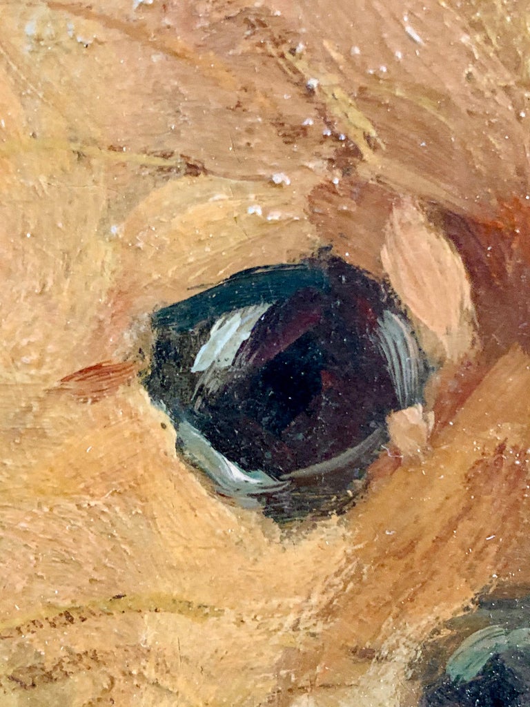 19th century European Portrait of a Pomeranian or Chihuahua- Life size Dog  Genre at 1stDibs | vintage pomeranian, pomeranian original size, original  pomeranian, image size:768x1024