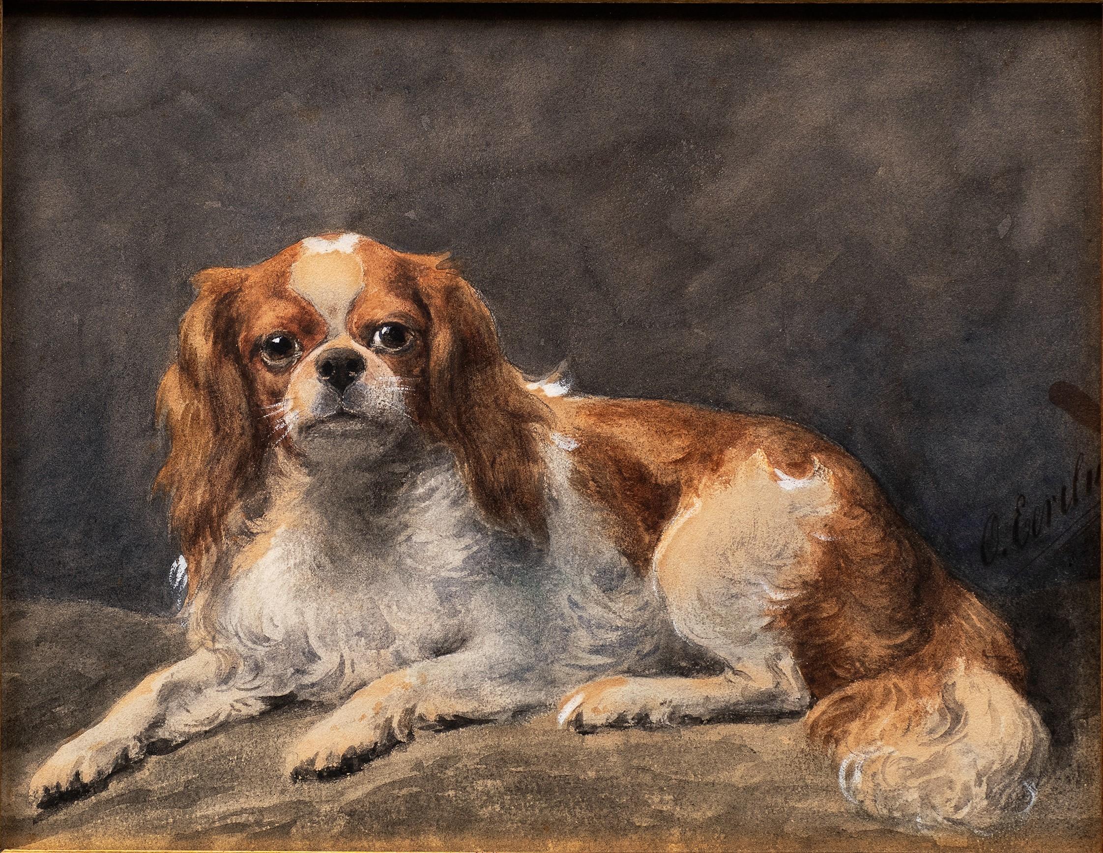 Cavalier King Charles (ou Charles Charles) au repos Otto Eerelman (Néerlandais, 1839-1926) en vente 1