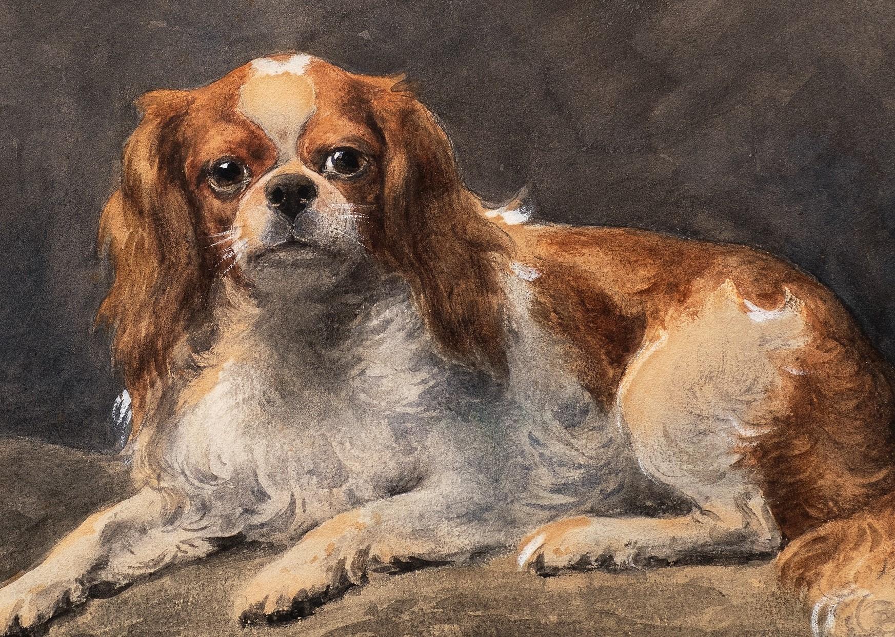 Cavalier King Charles (ou Charles Charles) au repos Otto Eerelman (Néerlandais, 1839-1926) en vente 2