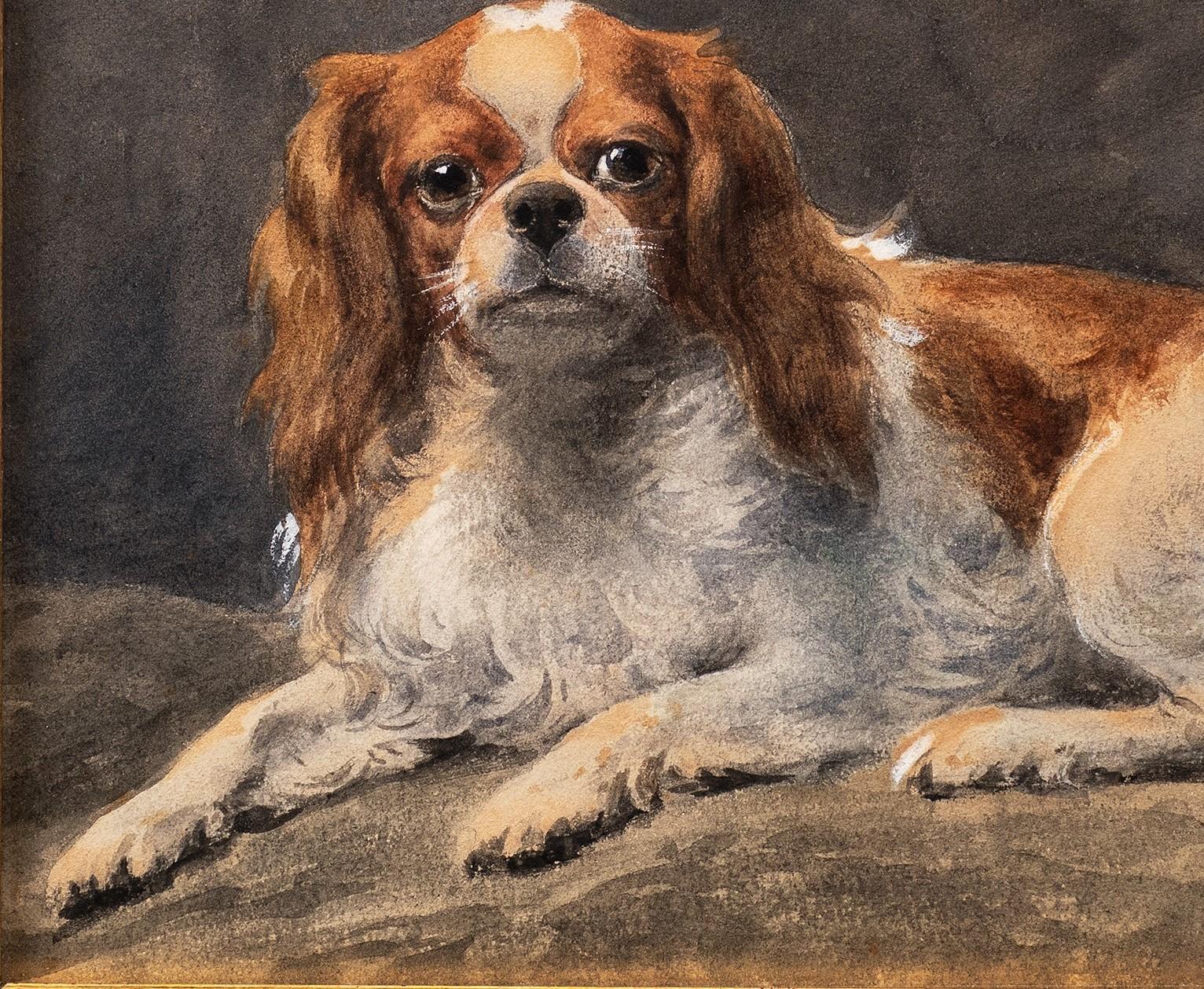Cavalier King Charles (ou Charles Charles) au repos Otto Eerelman (Néerlandais, 1839-1926) en vente 3