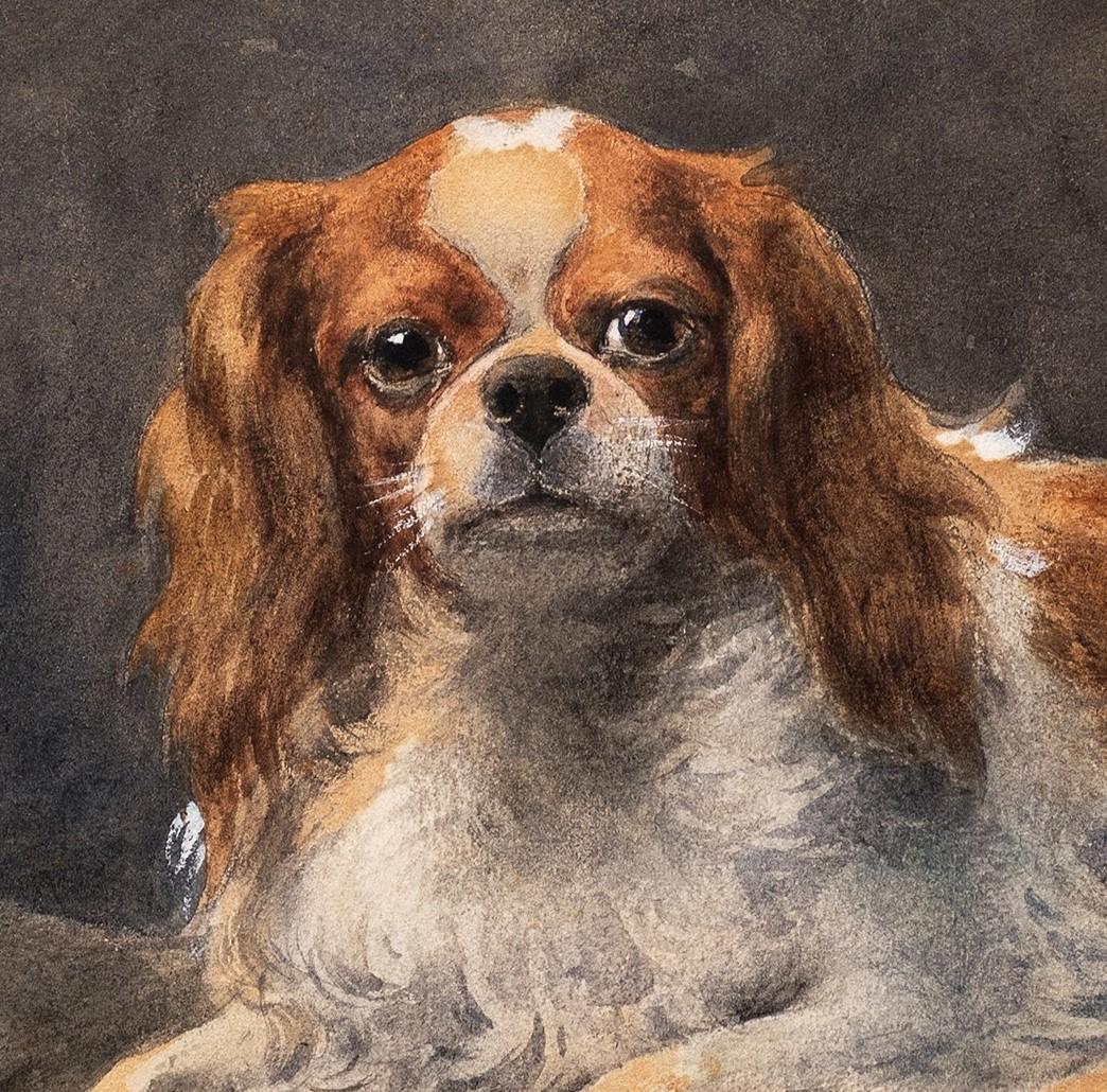 Cavalier King Charles (ou Charles Charles) au repos Otto Eerelman (Néerlandais, 1839-1926) en vente 4