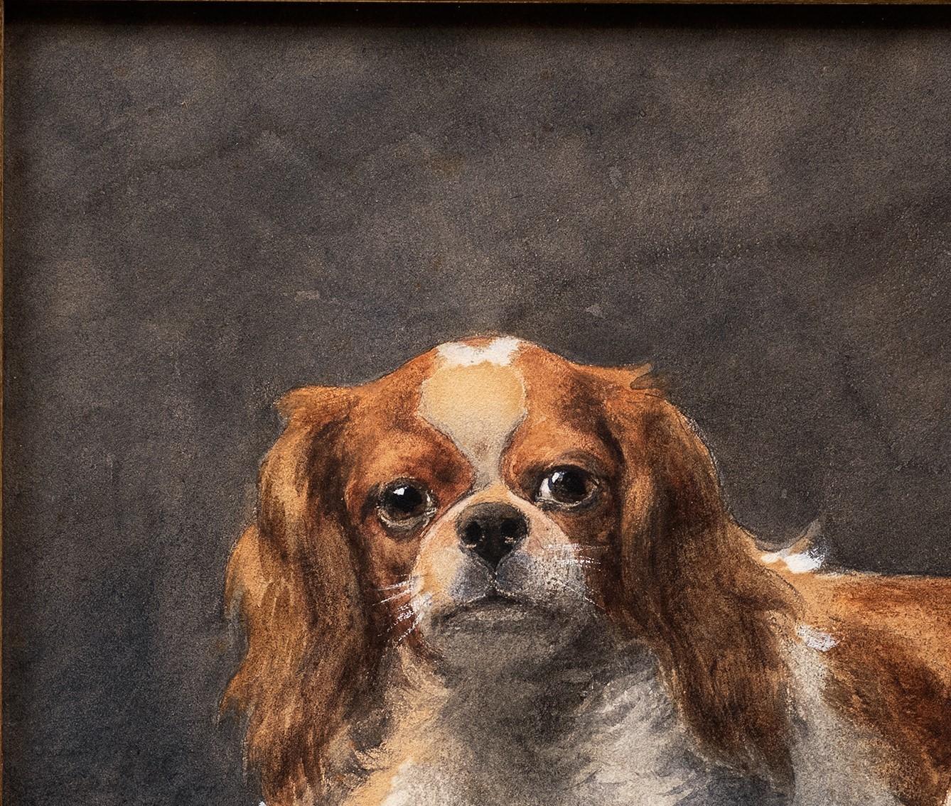 Cavalier King Charles (ou Charles Charles) au repos Otto Eerelman (Néerlandais, 1839-1926) en vente 5