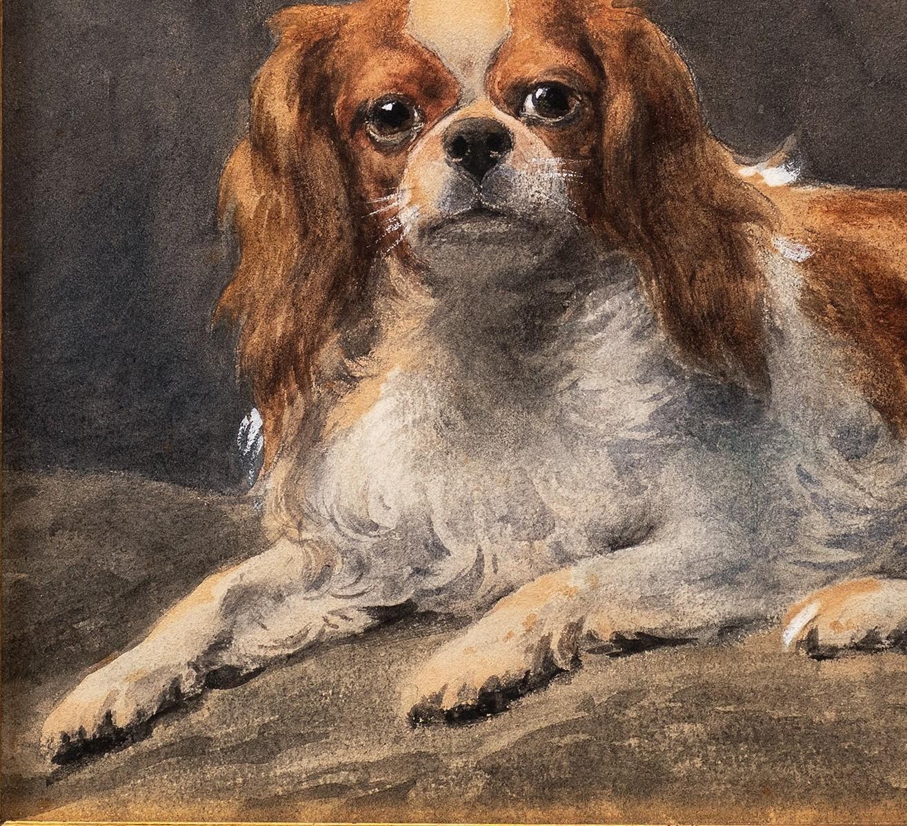 Cavalier King Charles (ou Charles Charles) au repos Otto Eerelman (Néerlandais, 1839-1926) en vente 7