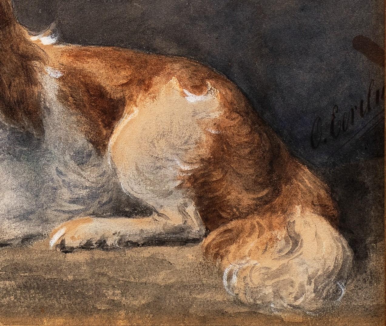 Cavalier King Charles (ou Charles Charles) au repos Otto Eerelman (Néerlandais, 1839-1926) en vente 8