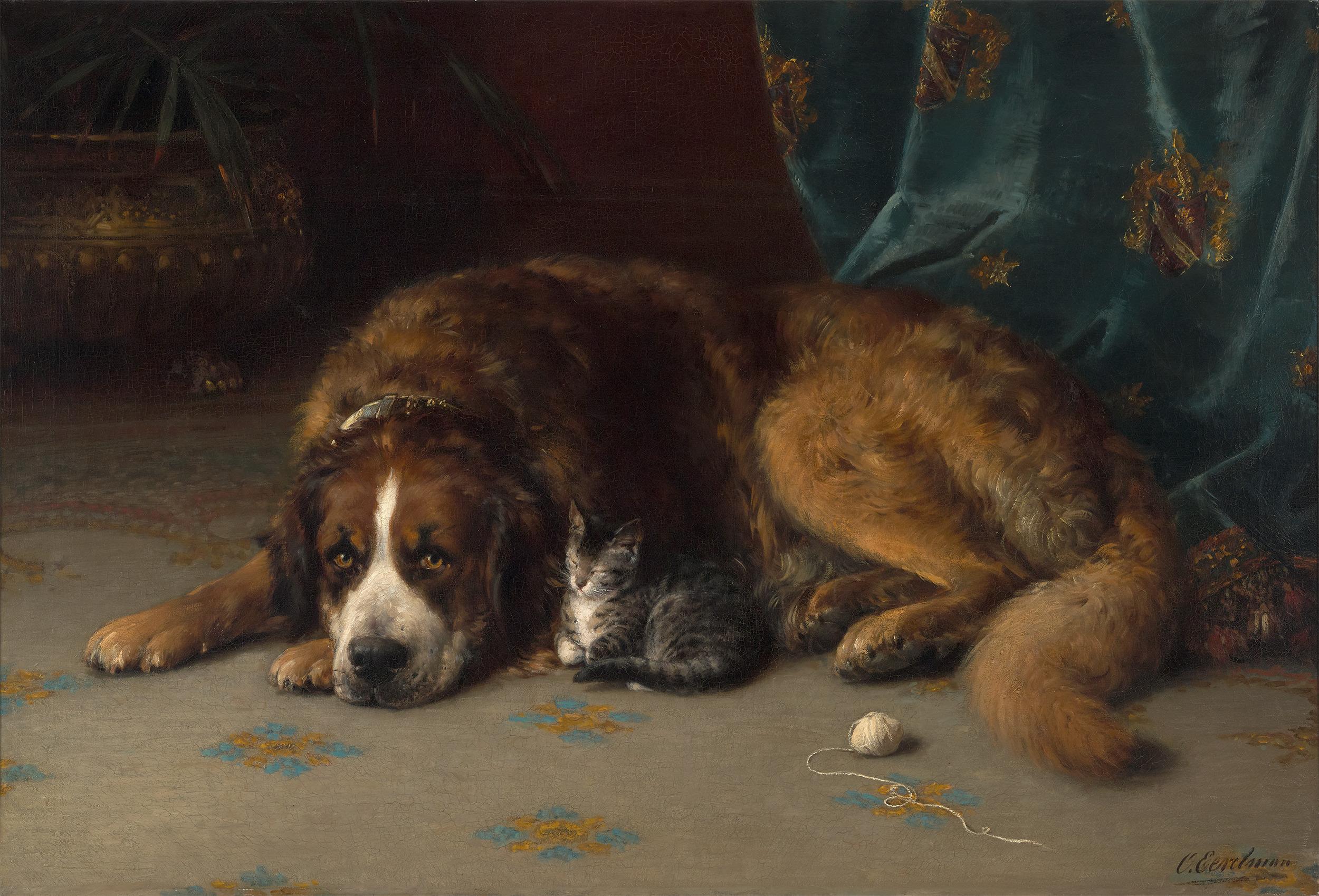 Terranova con un gattino di Otto Eerelman
