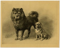 Untitled - 11. Two dog breeds: a Keeshond and a Puggle (?).