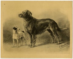 Untitled - 4. Two dog breeds: an Irish Setter and an English Foxhound (?).