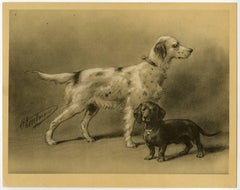 Antique Untitled - 6. Two dog breeds: a Dachshund and an English Setter.
