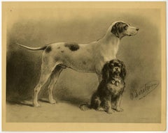 Antique Untitled. 9. Two dog breeds: a Cavalier King Charles Spaniel and a Pointer.