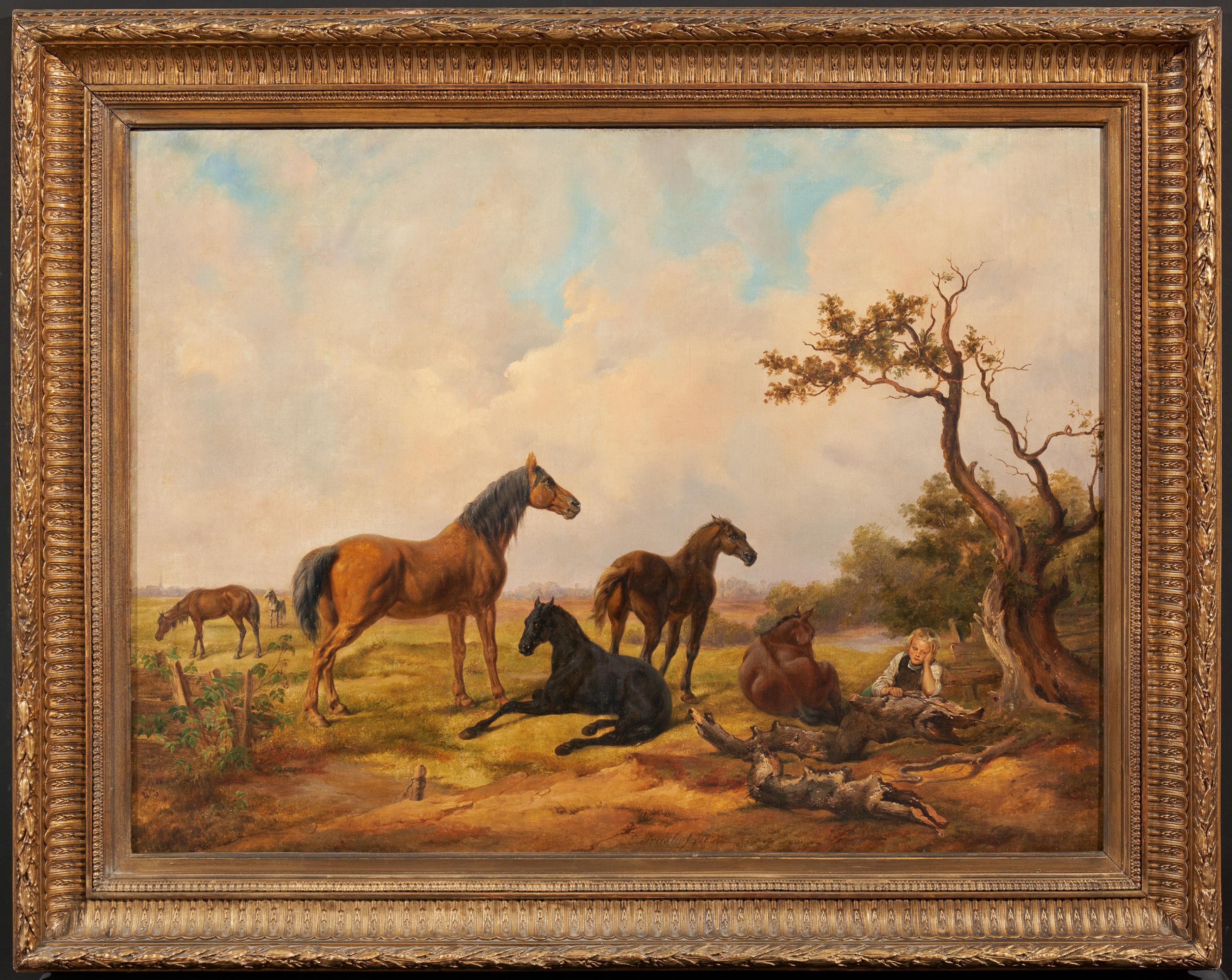 2 horses cologne