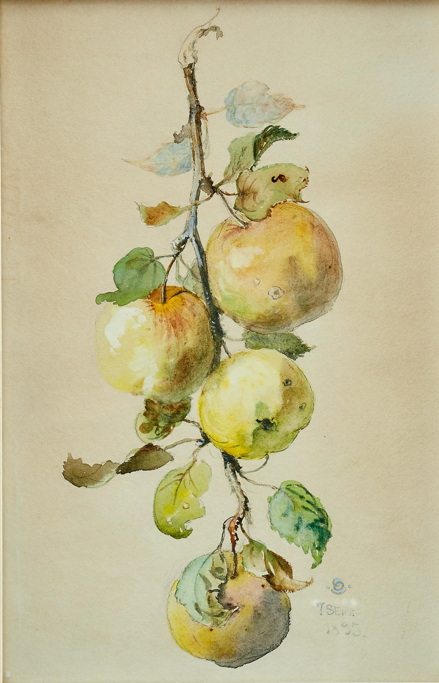 Tree Branch With Apples, Watercolor, 1895 - Painting by Otto Strandman