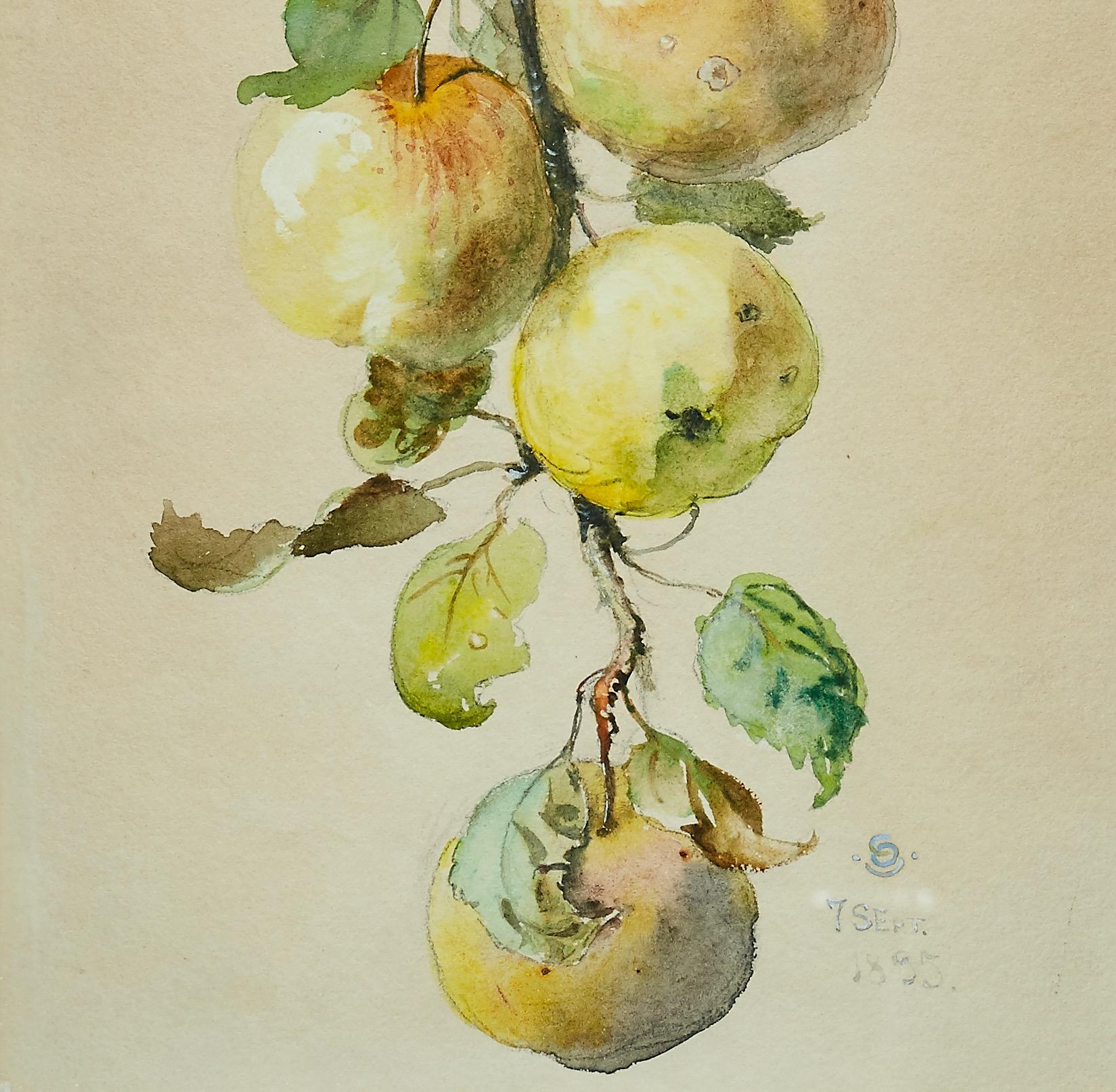 Tree Branch With Apples, Watercolor, 1895 - Naturalistic Painting by Otto Strandman