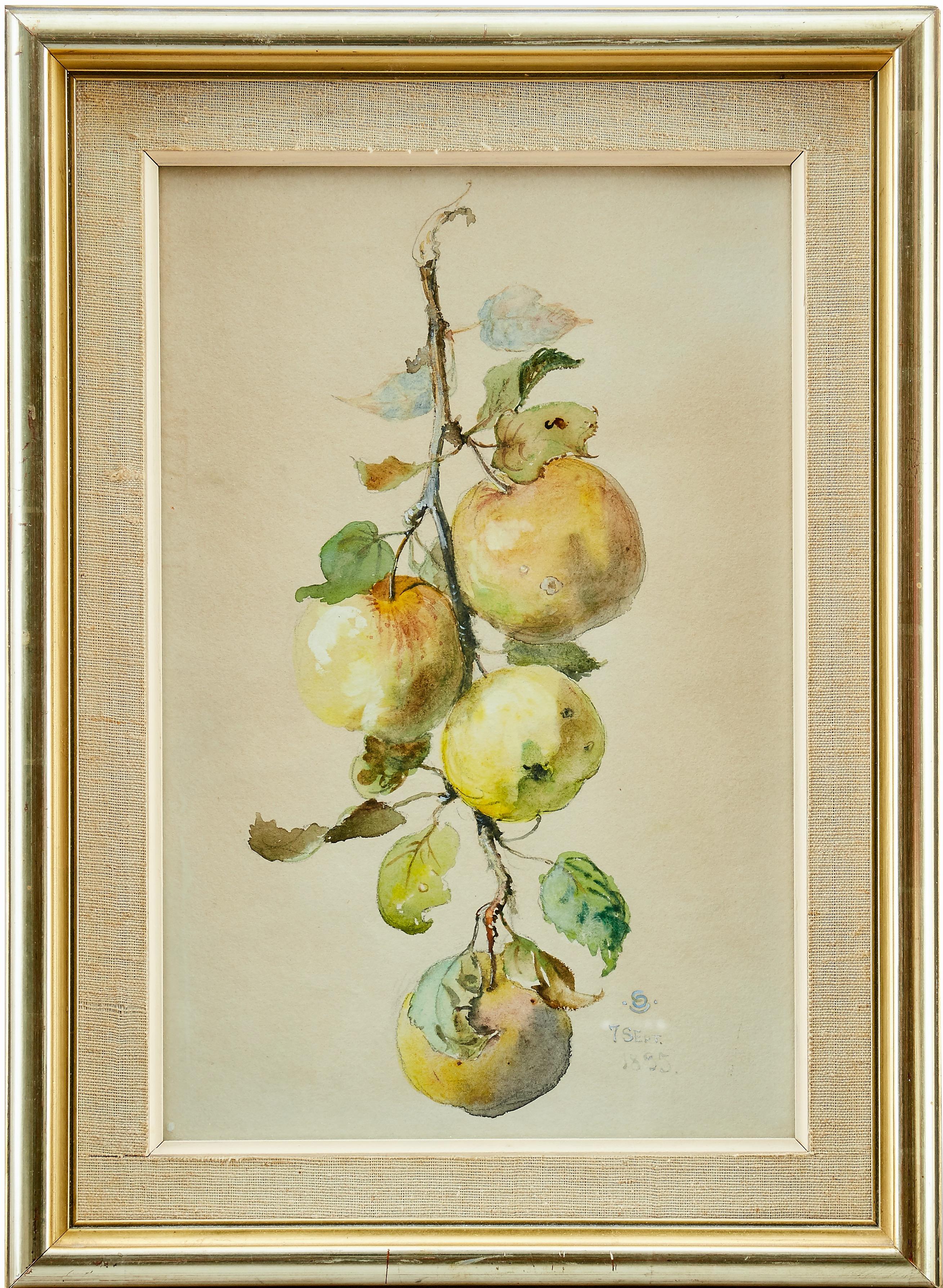 Ein schön gemalter Branch mit grünen und rötlichen Äpfeln von Otto Strandman (1871-1960). Signiert mit Monogramm "OS" und datiert "7 SEPT. 1895". Aquarell- und Gouache-Gemälde auf Papier. 

Otto Strandman erhielt seine Ausbildung an der Hochschule