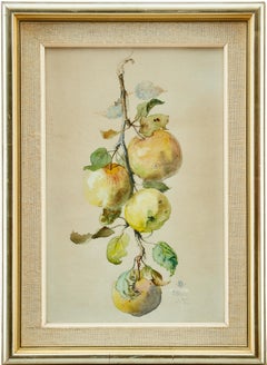 Branche d'arbre avec des pommes, aquarelle, 1895