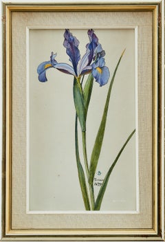 Antique Otto Strandman, Blue Iris Flower.