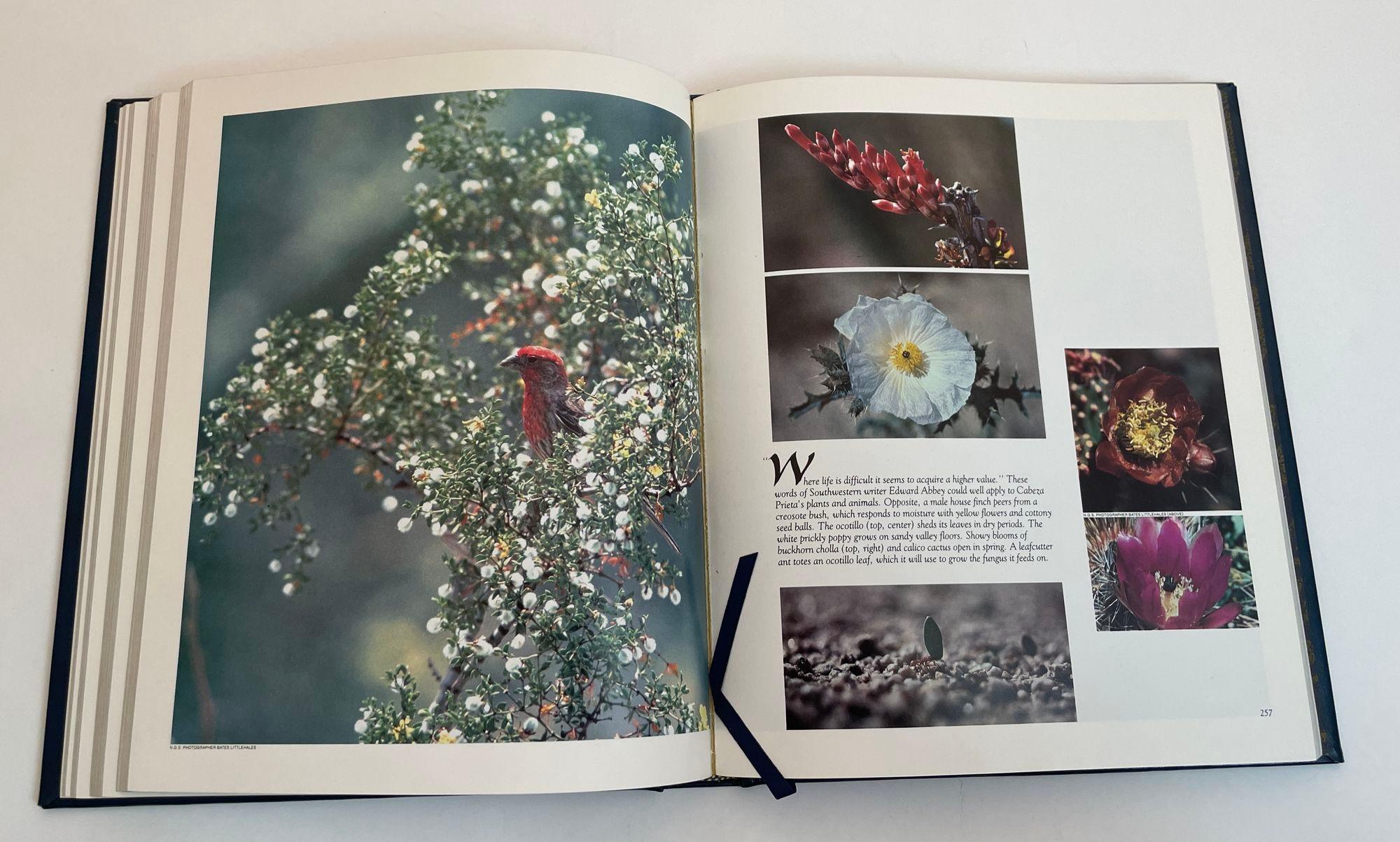 Livre R Fisher Our Threatened Inheritance Natural Treasures of the United States en vente 3