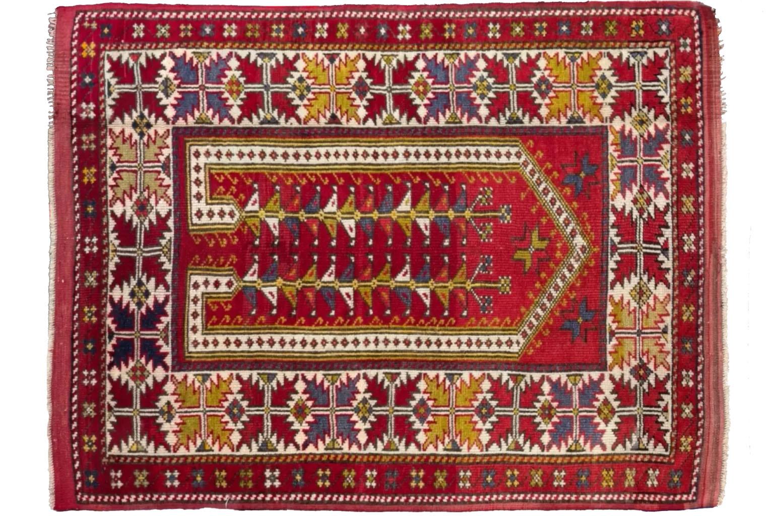 A Canvas of Tradition: Hand-Knotted Turkish Area Rug
Artistry Echoing Centuries of Craft
Envelop your space in the warmth and history of this exquisite hand-knotted Turkish area rug. While specifically attributed to Turkey, its design subtly nods to