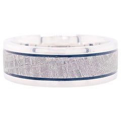 Meteorit-Schwarzer Ring aus dieser Welt