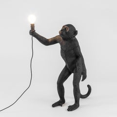 Outdoor Black monkeys